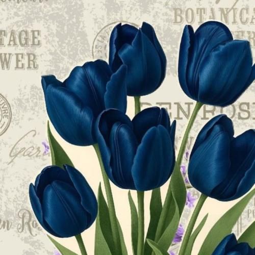  نمیخوامت حتی توی فیک پیجم میرم زیاد بالا