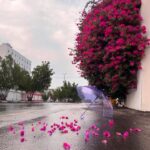 دانلود ورژن های خاص از ترانه هره گوله با کیفیت بالا و میکس های جدید دانلود ورژن های خاص از ترانه هره گوله با کیفیت بالا و میکس های جدید