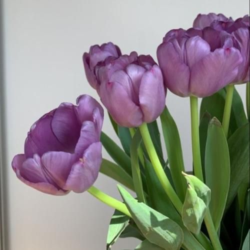 فاطمه عطایی دلبر دلبر