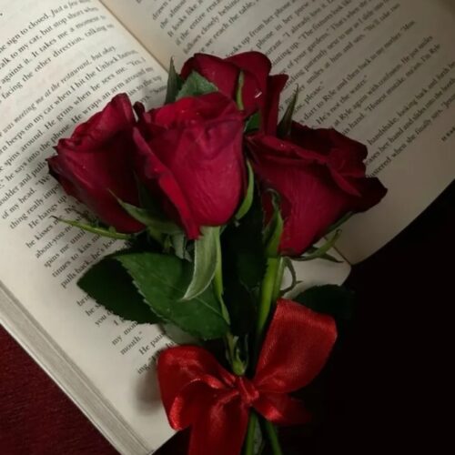 دانلود آهنگ های ترکی لاکچری شاد و غمگین معروف